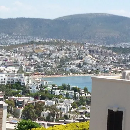 Bodrum Doria 2023 * غومْبيت